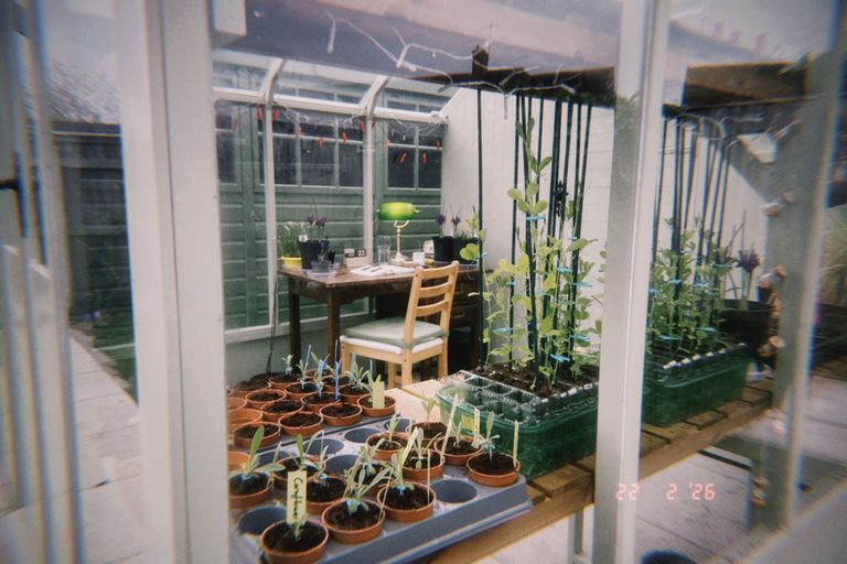 Artwork from project Studio and Life